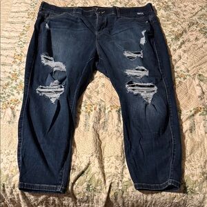 Torrid Distressed Blue Jeans